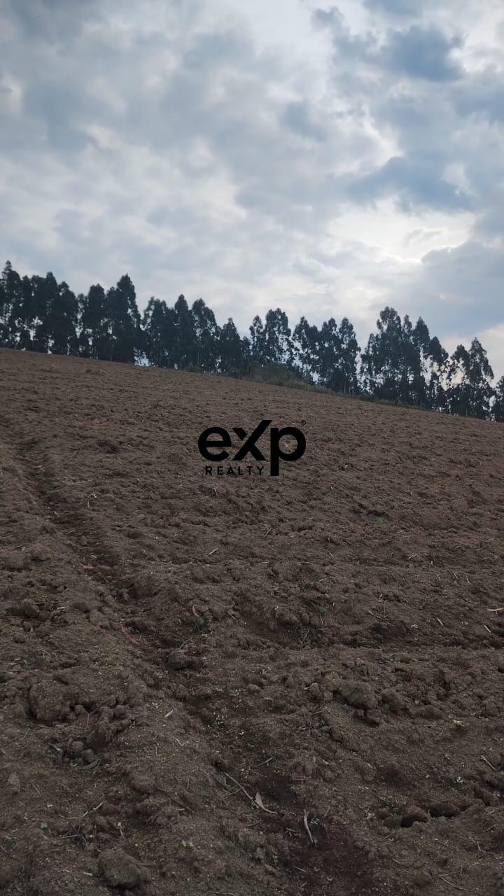 Chácara à venda em AGUDOS DO SUL, Estrada Secundaria Leao 1 Leão AGUDOS DO SUL 83850-000, 31460 m²
