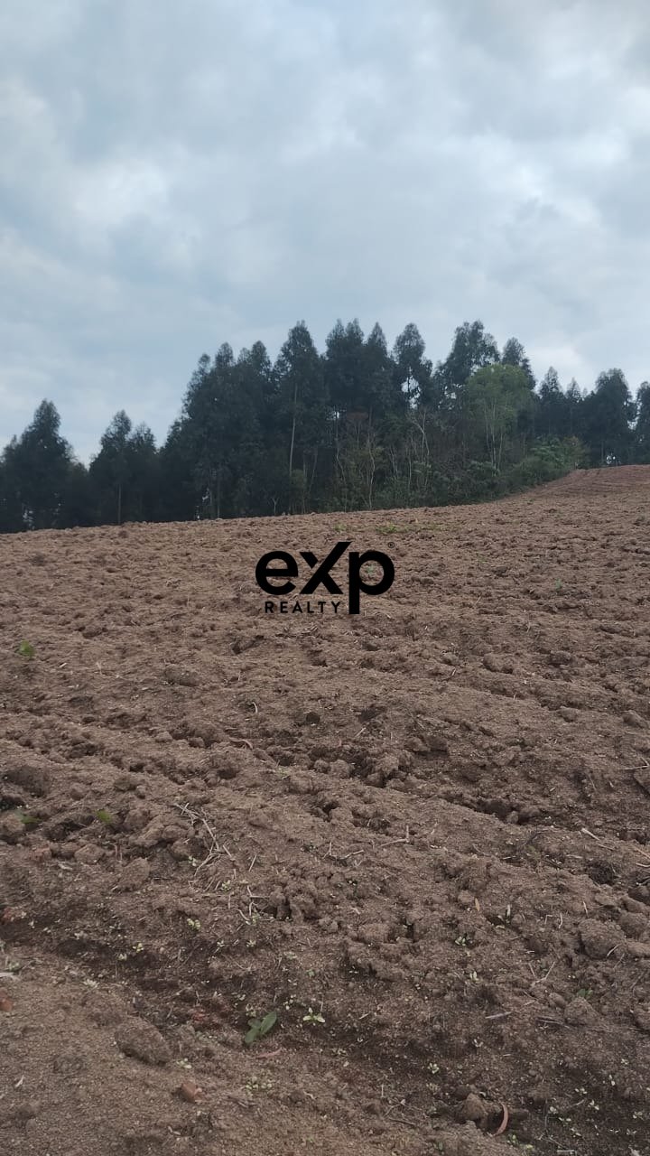 Chácara à venda em AGUDOS DO SUL, Estrada Secundaria Leao 1 Leão AGUDOS DO SUL 83850-000, 31460 m²