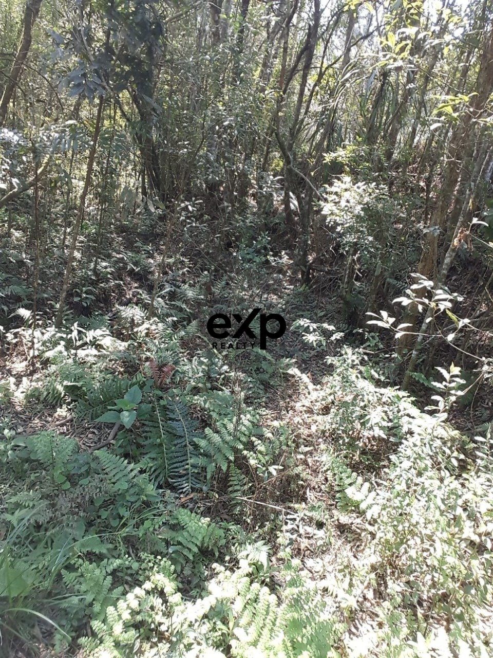 Chácara à venda em AGUDOS DO SUL, Estrada Secundaria Leao 1 Leão AGUDOS DO SUL 83850-000, 31460 m²
