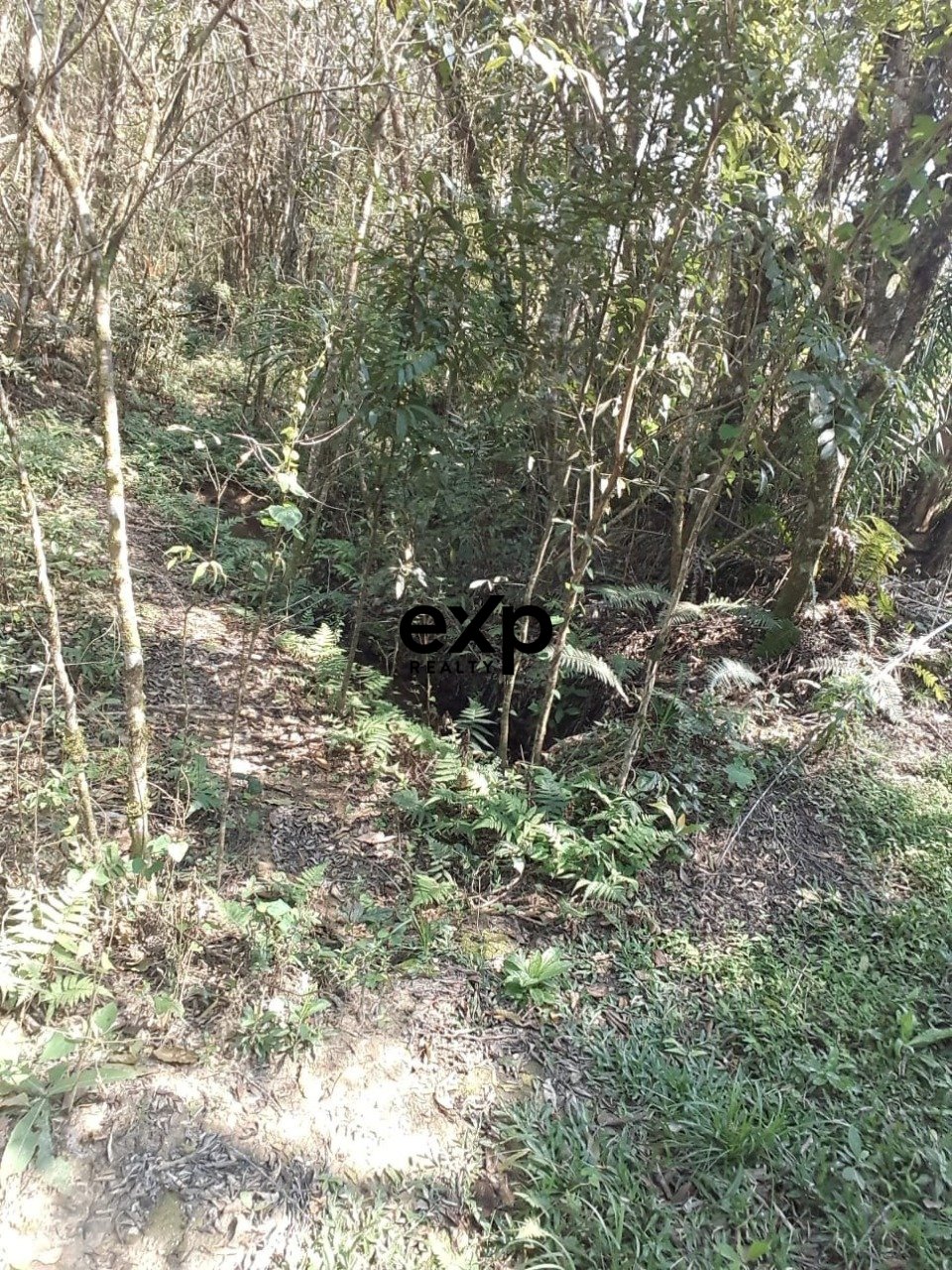 Chácara à venda em AGUDOS DO SUL, Estrada Secundaria Leao 1 Leão AGUDOS DO SUL 83850-000, 31460 m²