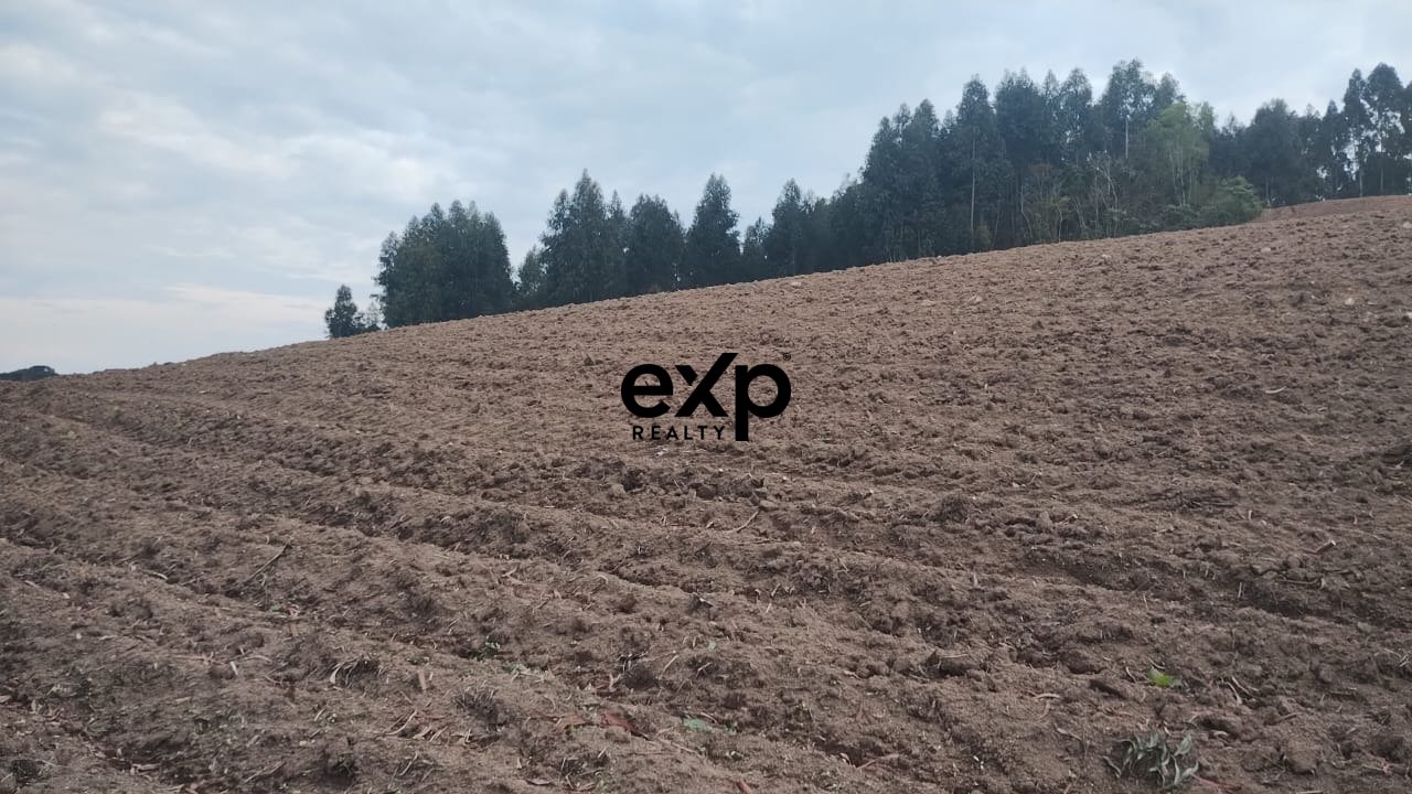 Chácara à venda em AGUDOS DO SUL, Estrada Secundaria Leao 1 Leão AGUDOS DO SUL 83850-000, 31460 m²