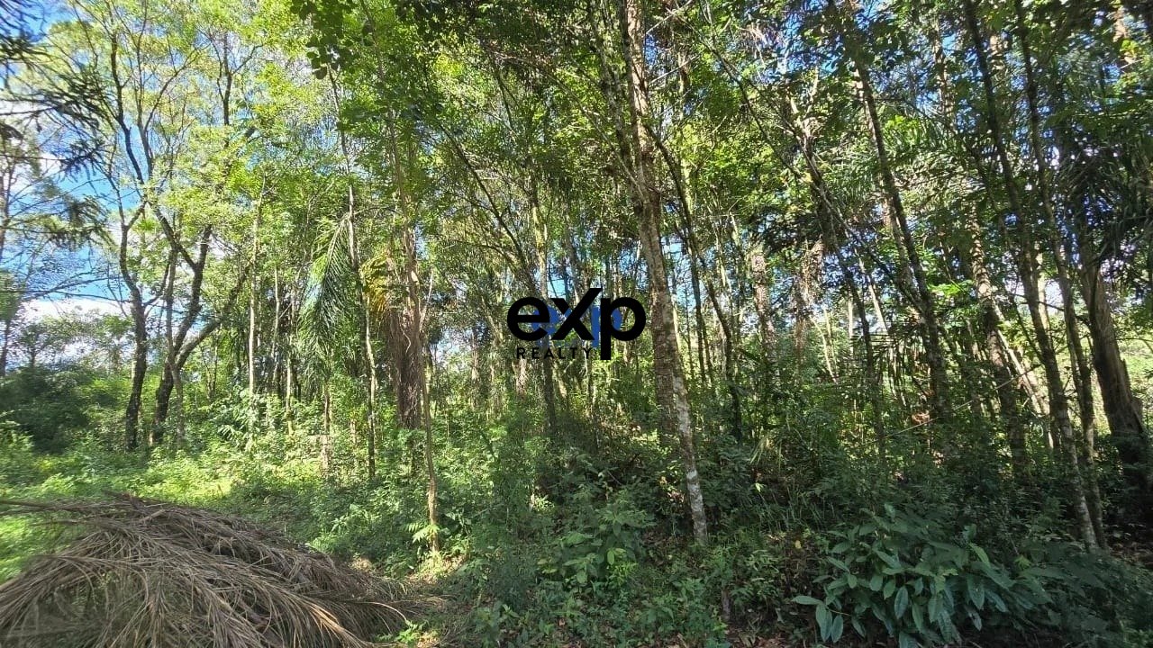 CHÁCARA LEÃO AGUDOS DO SUL PR
