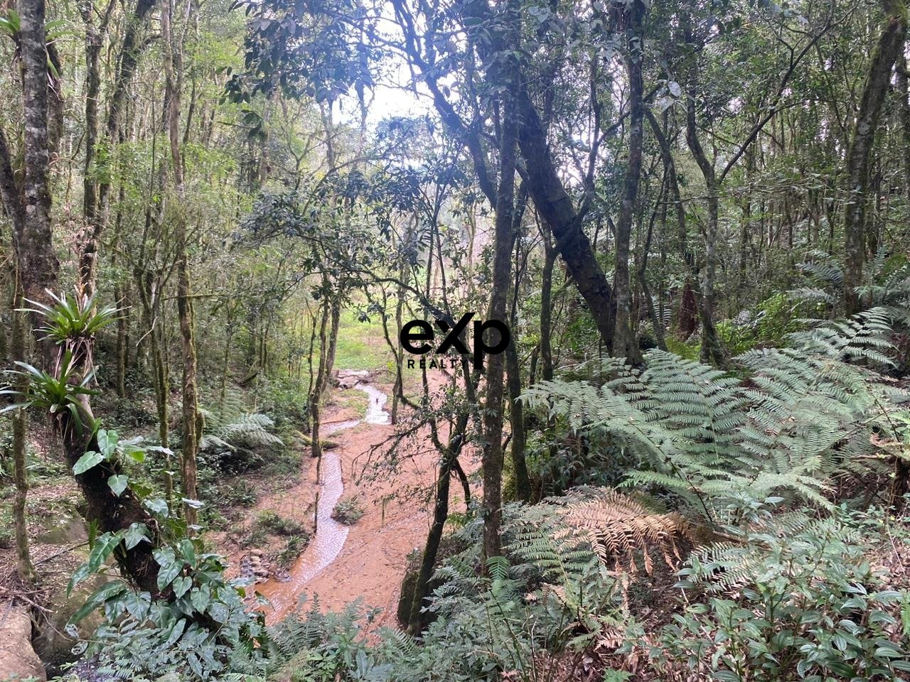 CHÁCARA QUITANDINHA PR