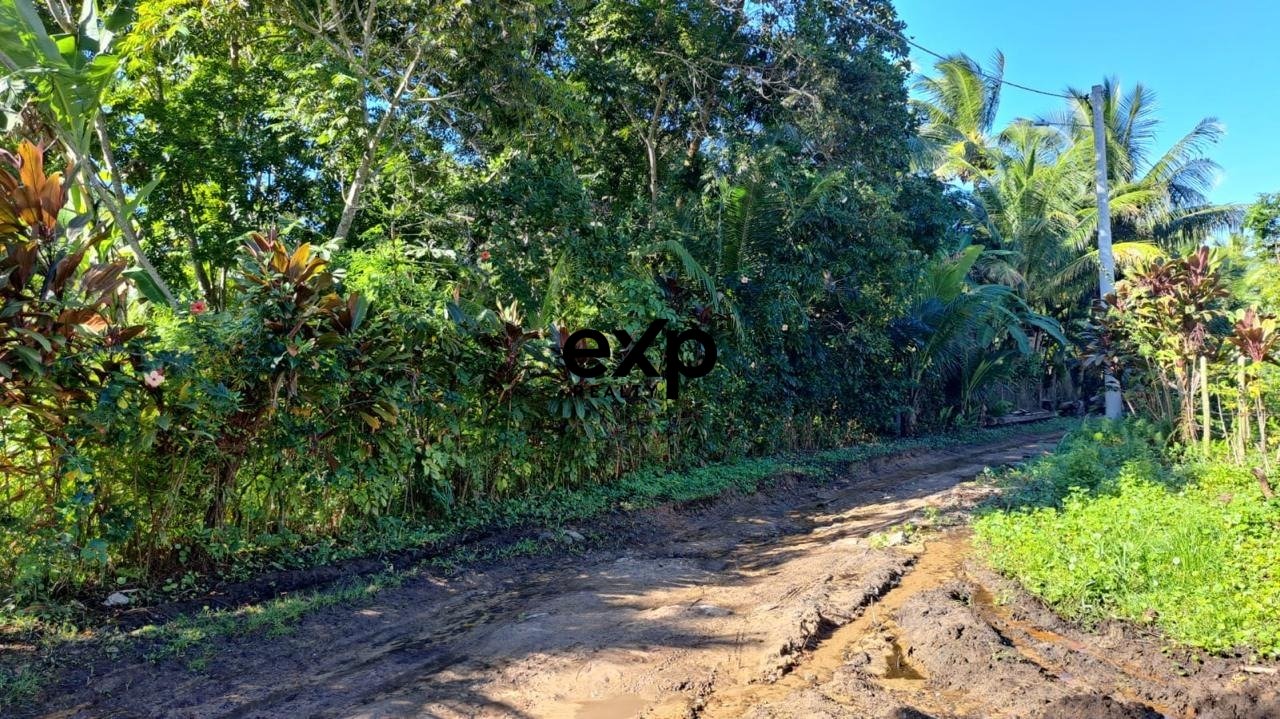 Terreno bem localizado com potencial de valorização