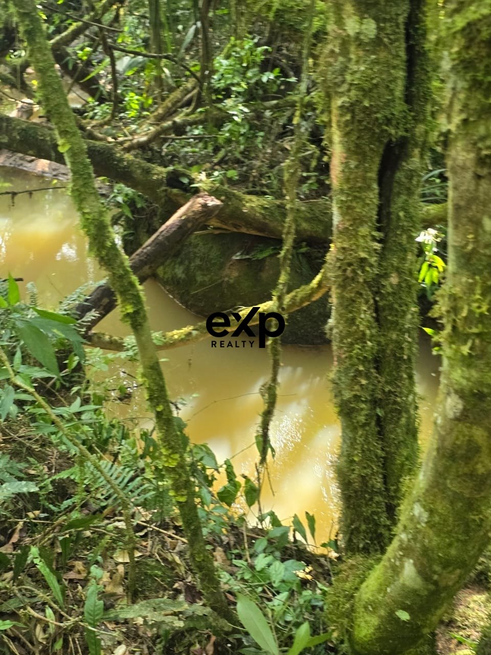 CHÁCARA AGUDOS DO SUL PR