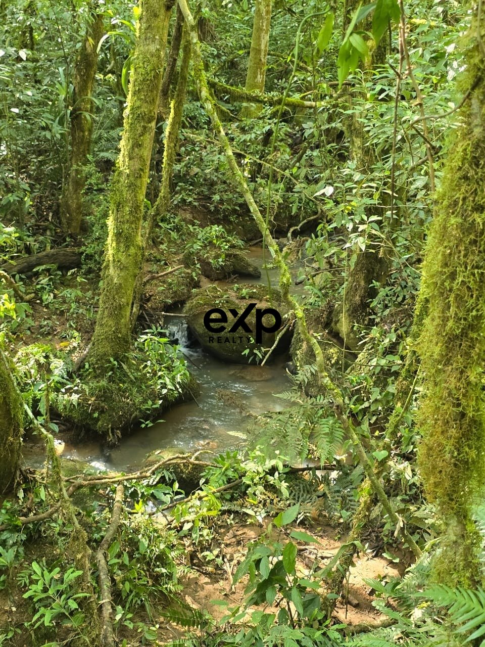 CHÁCARA AGUDOS DO SUL PR