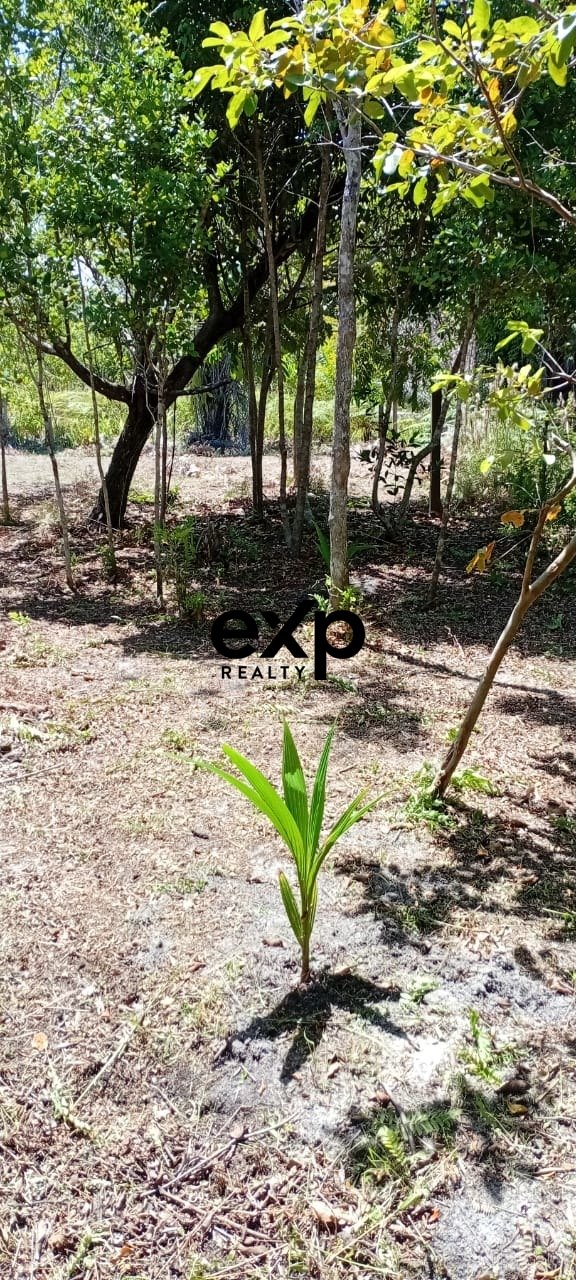 Terreno plano, seco e arborizado, perfeito para construir sua casa perto da praia, uma pousada ou investimento estratégico