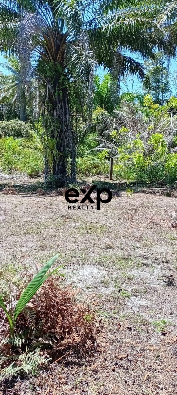 Terreno plano, seco e arborizado, perfeito para construir sua casa perto da praia, uma pousada ou investimento estratégico