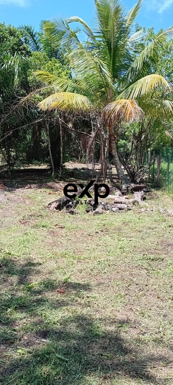 Terreno plano, seco e arborizado, perfeito para construir sua casa perto da praia, uma pousada ou investimento estratégico