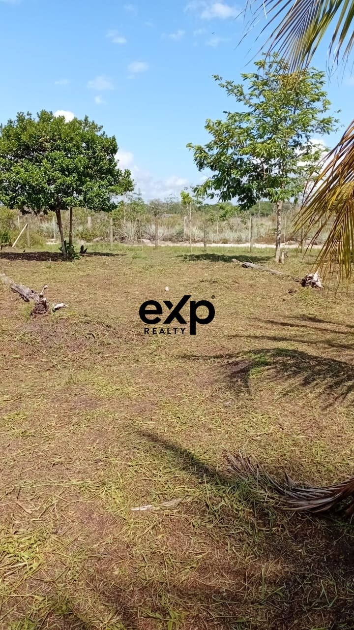 Terreno plano, seco e arborizado, perfeito para construir sua casa perto da praia, uma pousada ou investimento estratégico