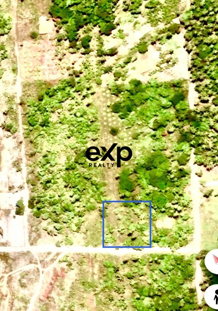 Terreno plano, seco e arborizado, perfeito para construir sua casa perto da praia, uma pousada ou investimento estratégico