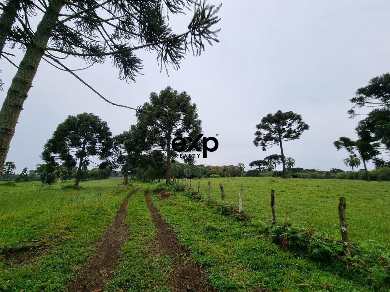 OPORTUNIDADE RURAL  46 HA  COM ÁGUA | PERTO DE LAGES.