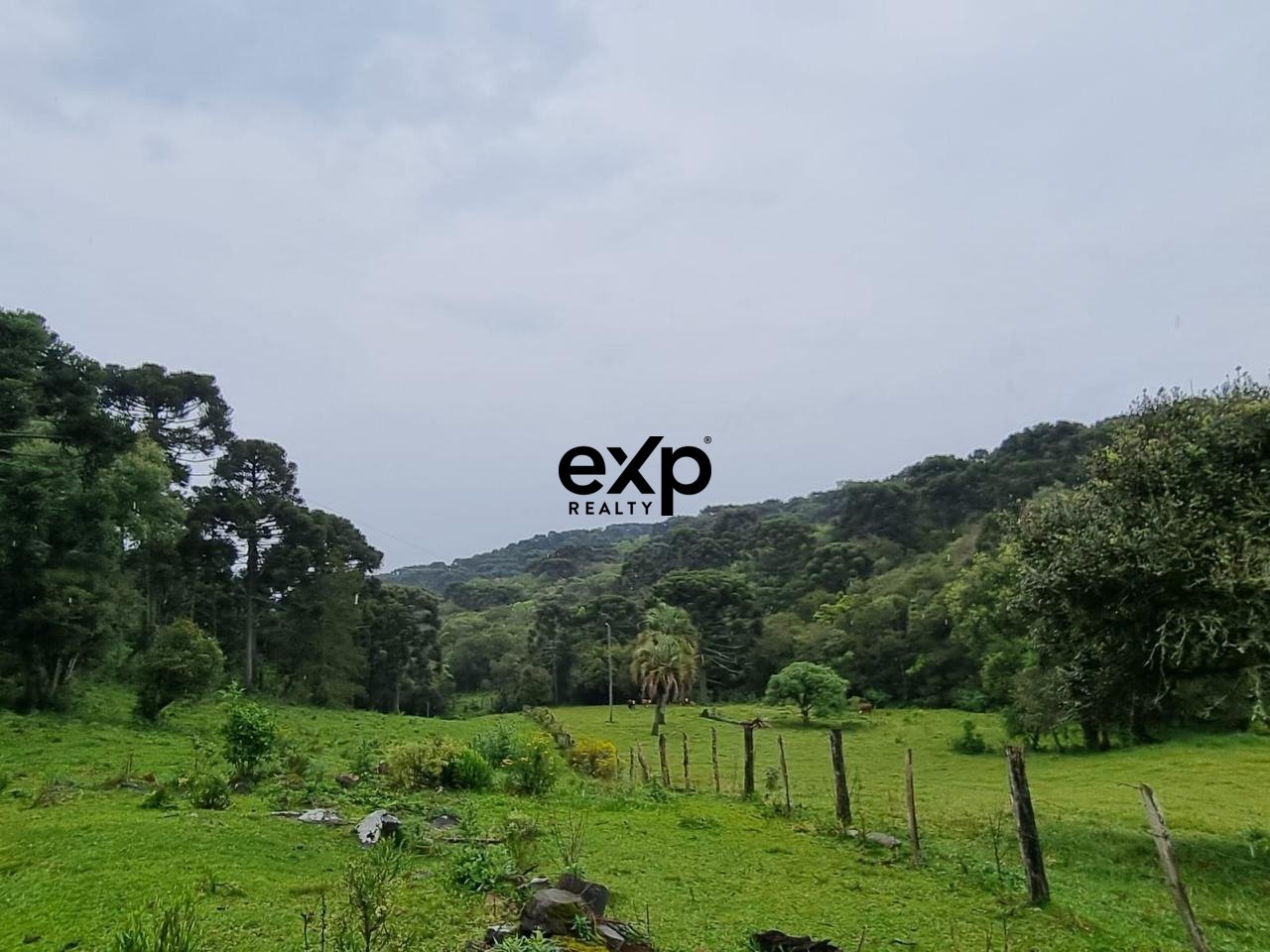 OPORTUNIDADE RURAL  46 HA  COM ÁGUA | PERTO DE LAGES.