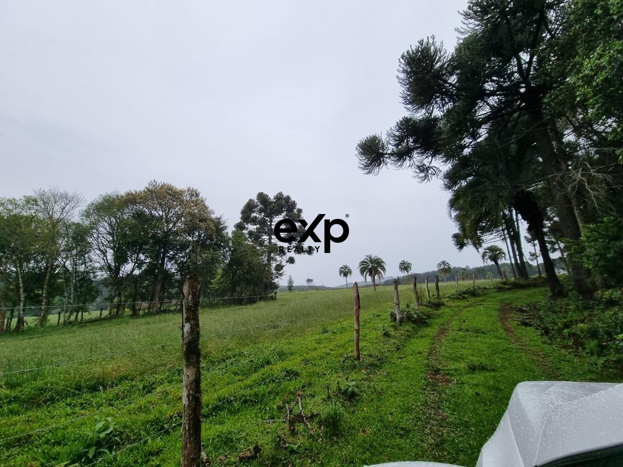 OPORTUNIDADE RURAL  46 HA  COM ÁGUA | PERTO DE LAGES.