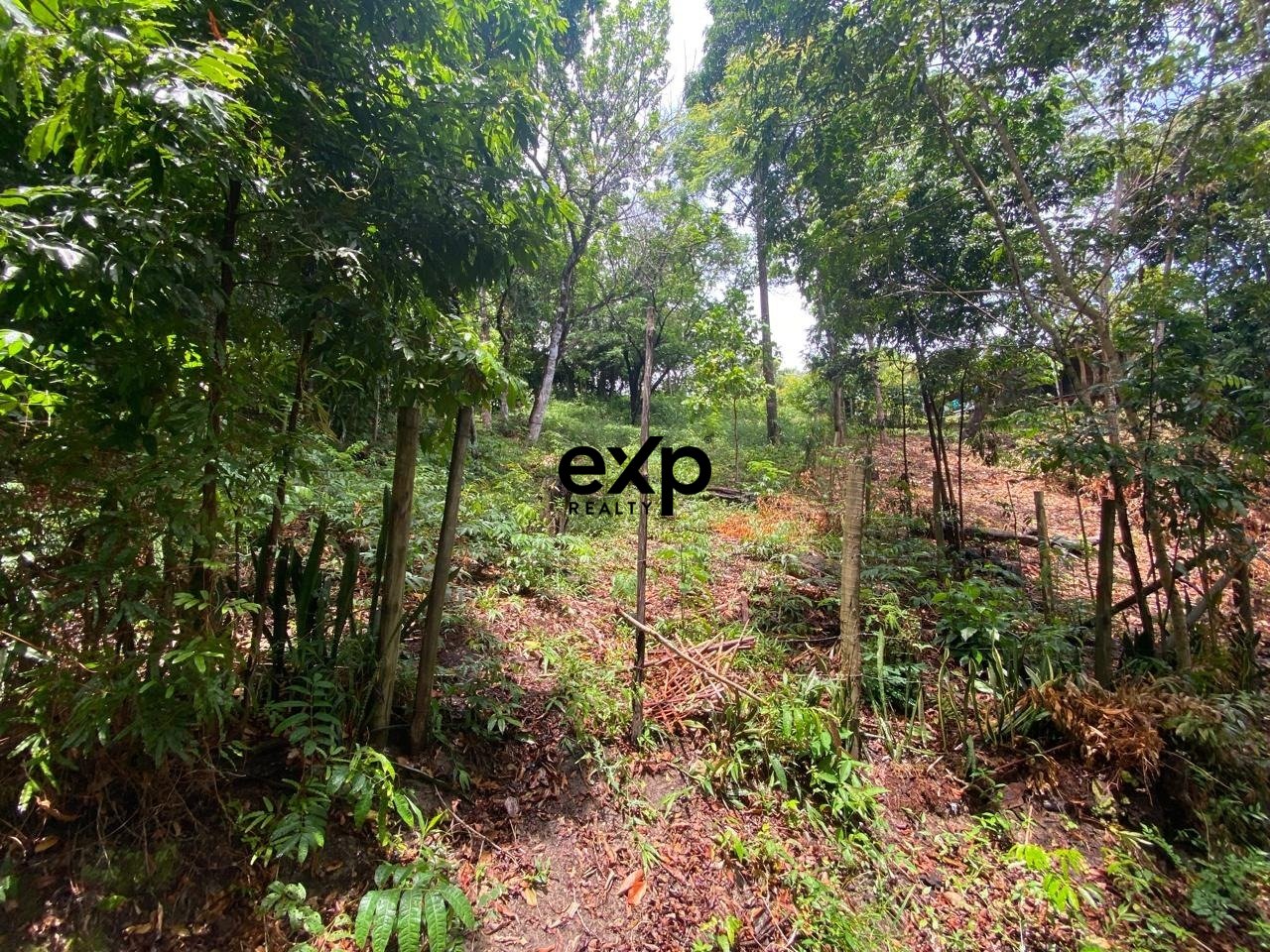 Terreno à venda em Cairu, Jardim Botânico - MORRO DE SÃO PAULO, CAIRU Jardim Botânico, Morro de São Paulo Cairu 45420-000, 700 m²