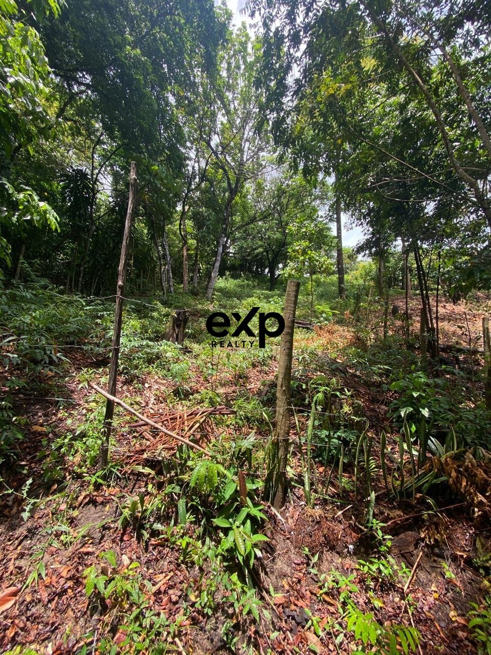 Terreno à venda em Cairu, Jardim Botânico - MORRO DE SÃO PAULO, CAIRU Jardim Botânico, Morro de São Paulo Cairu 45420-000, 700 m²