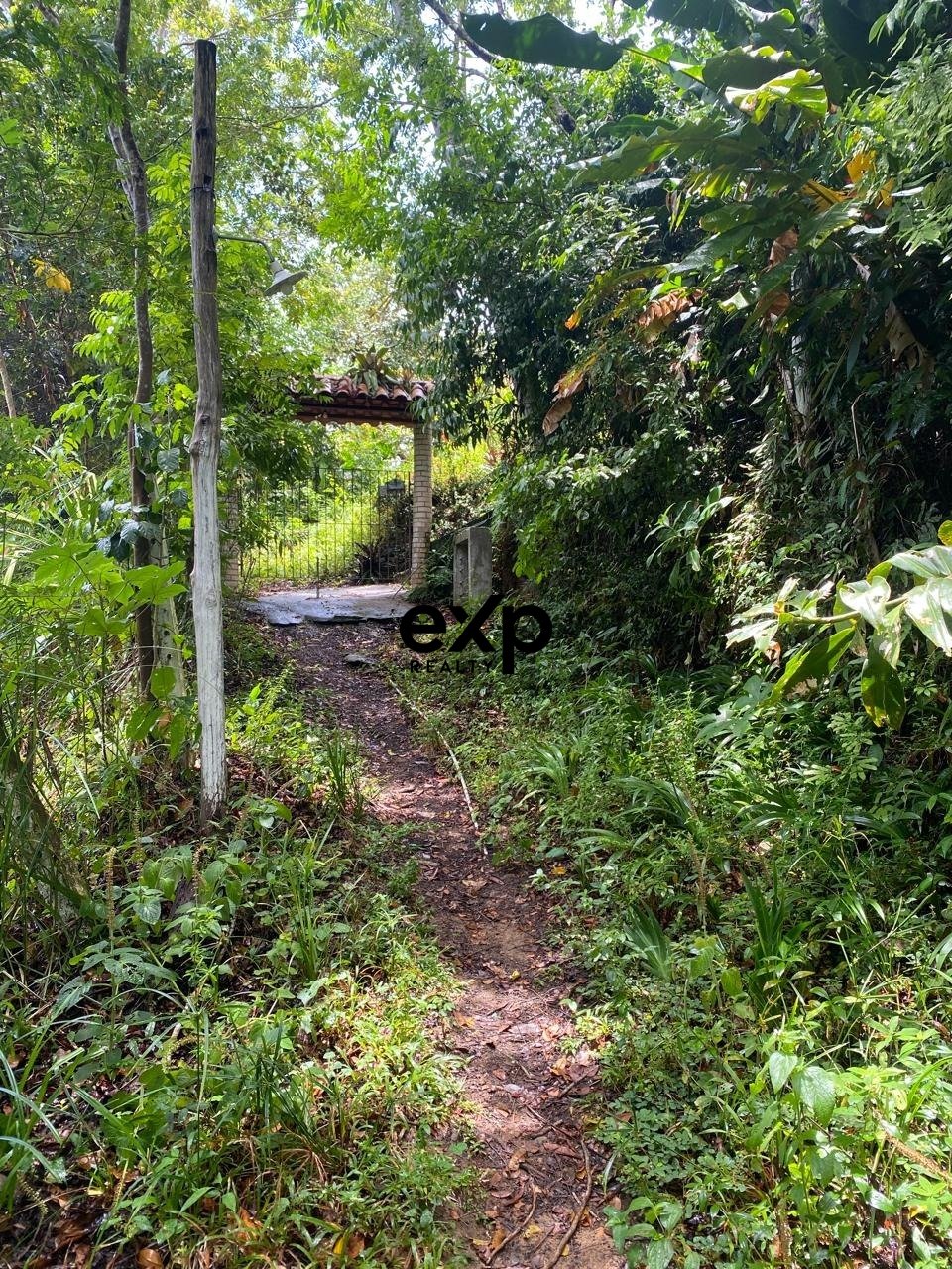 Terreno à venda em Cairu, Jardim Botânico - MORRO DE SÃO PAULO, CAIRU Jardim Botânico, Morro de São Paulo Cairu 45420-000, 700 m²