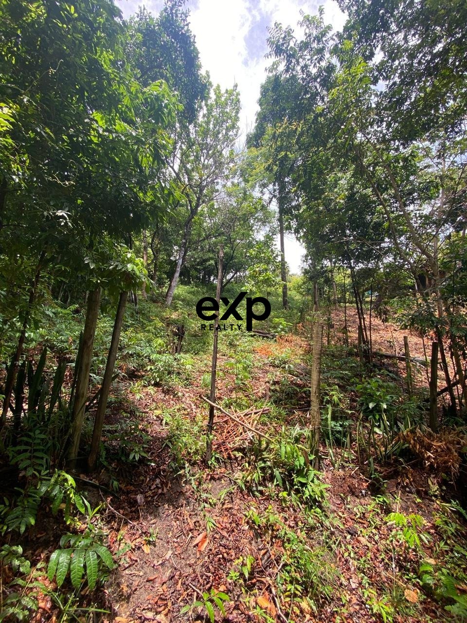 Terreno à venda em Cairu, Jardim Botânico - MORRO DE SÃO PAULO, CAIRU Jardim Botânico, Morro de São Paulo Cairu 45420-000, 700 m²
