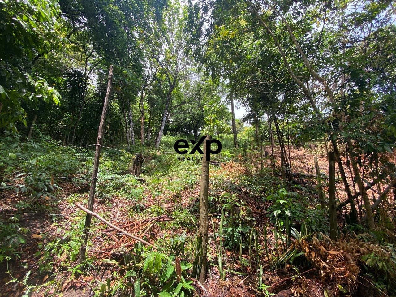 Terreno à venda em Cairu, Jardim Botânico - MORRO DE SÃO PAULO, CAIRU Jardim Botânico, Morro de São Paulo Cairu 45420-000, 700 m²