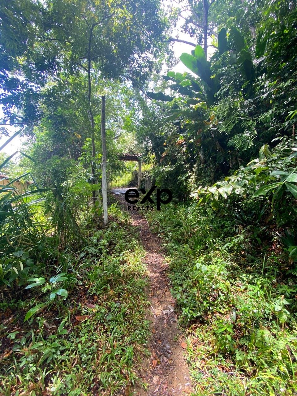 Terreno à venda em Cairu, Jardim Botânico - MORRO DE SÃO PAULO, CAIRU Jardim Botânico, Morro de São Paulo Cairu 45420-000, 700 m²