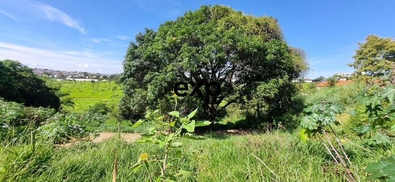 Lot in the CEASA Region with 1,564.71m² Commercial or Residential