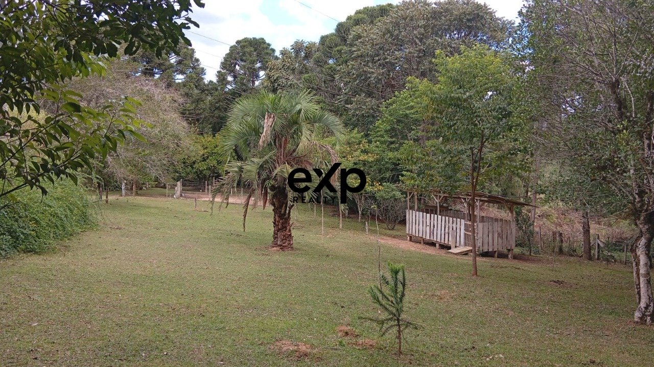 Farm for Sale in Curitiba - Quitandinha 5