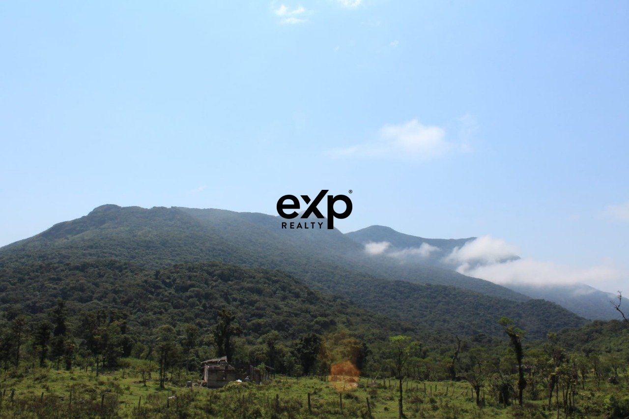 Fazenda Capivari Grande - Área Rural de Grande Extensão - Paraná | 2.847 Hectares