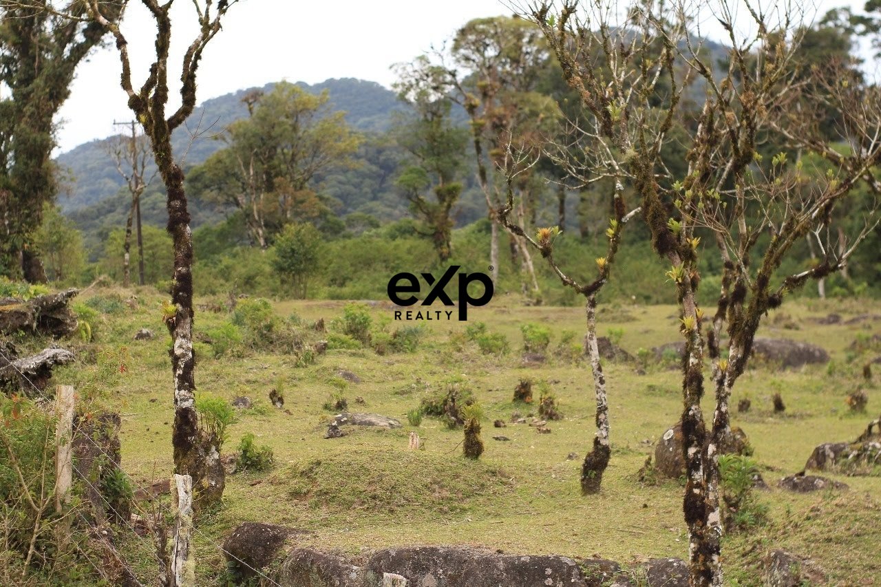 Fazenda Capivari Grande - Área Rural de Grande Extensão - Paraná | 2.847 Hectares