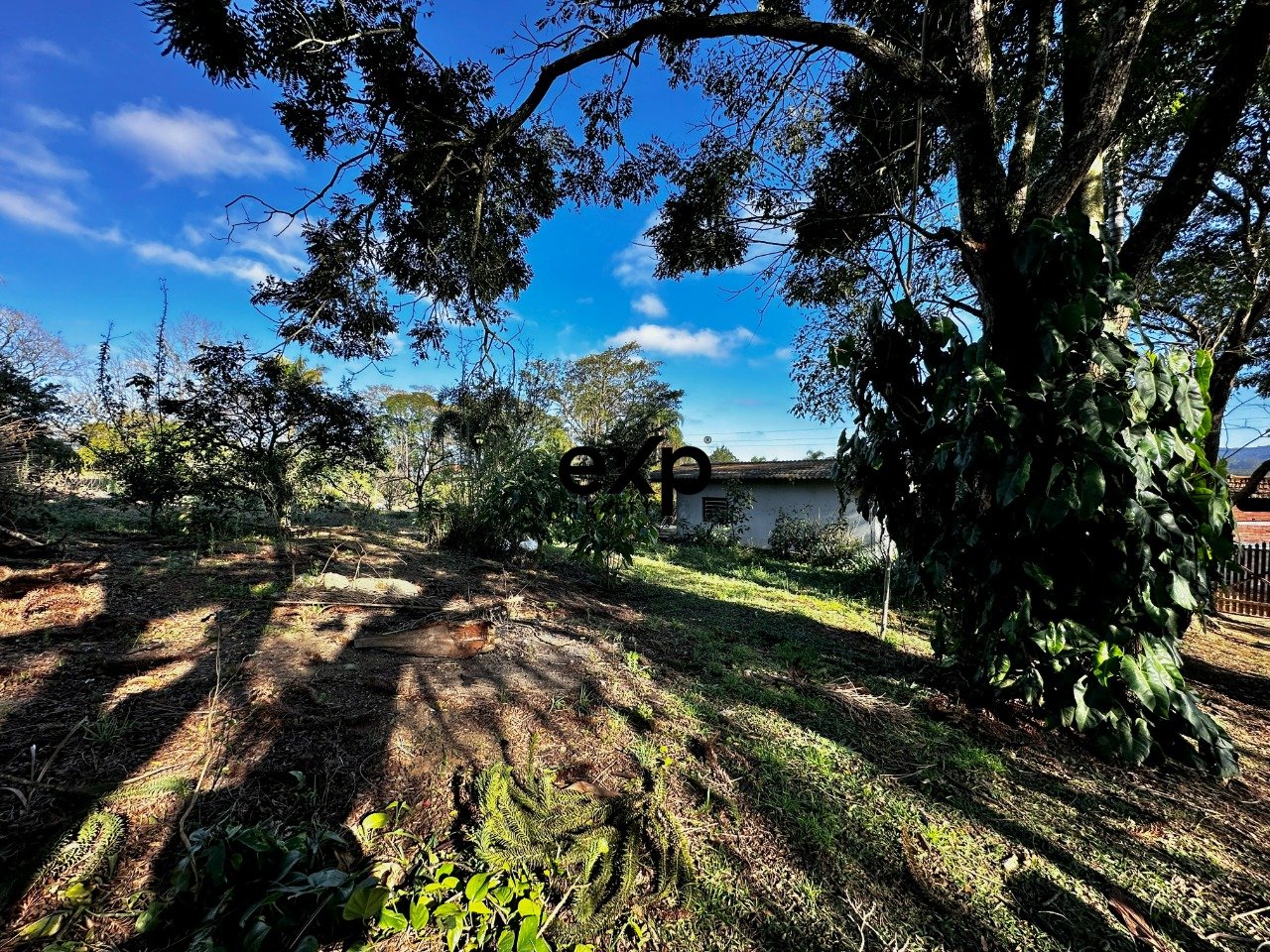 Amplo terreno de 5.120 m², com poço artesiano, à 500m da Rod Bunjiro Nakao