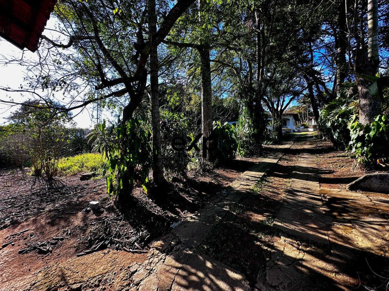 Amplo terreno de 5.120 m², com poço artesiano, à 500m da Rod Bunjiro Nakao