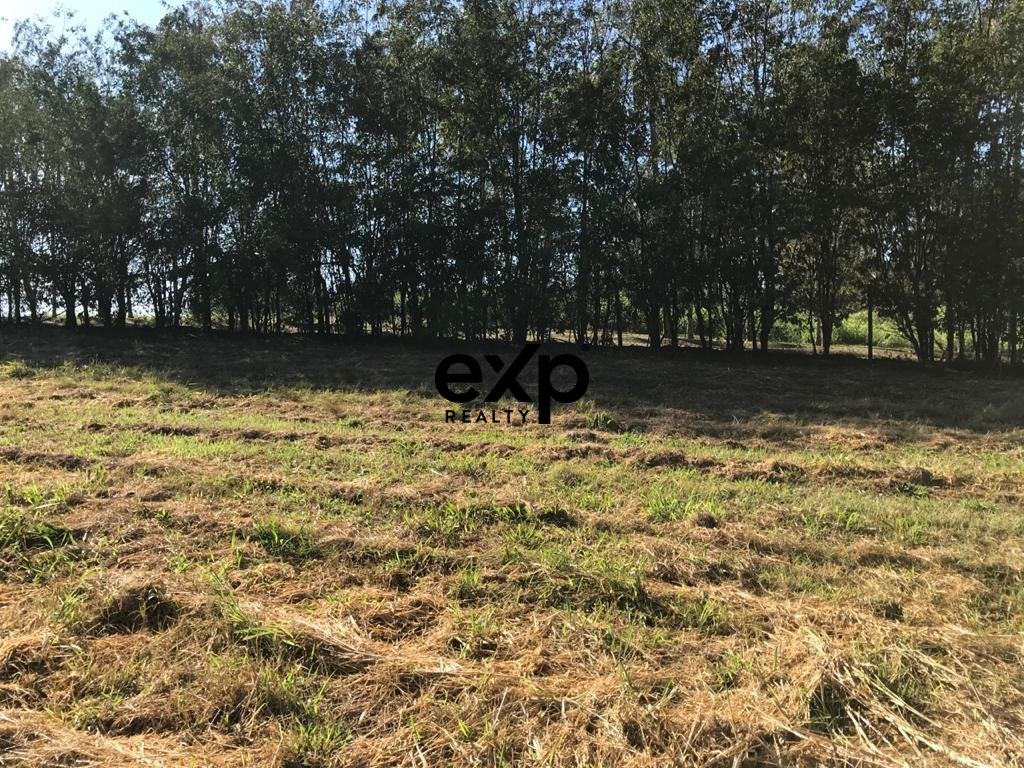 Terreno à venda no Jardim Martinelli, Campinas