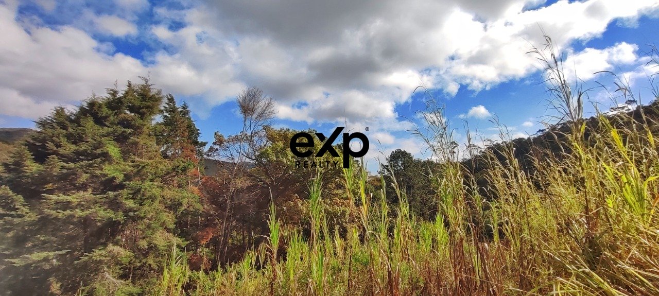 Terreno - Venda - Vale das Videiras - 3.820 m² - Araras - Petrópolis/RJ