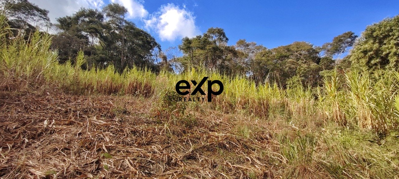 Terreno - Venda - Vale das Videiras - 3.820 m² - Araras - Petrópolis/RJ