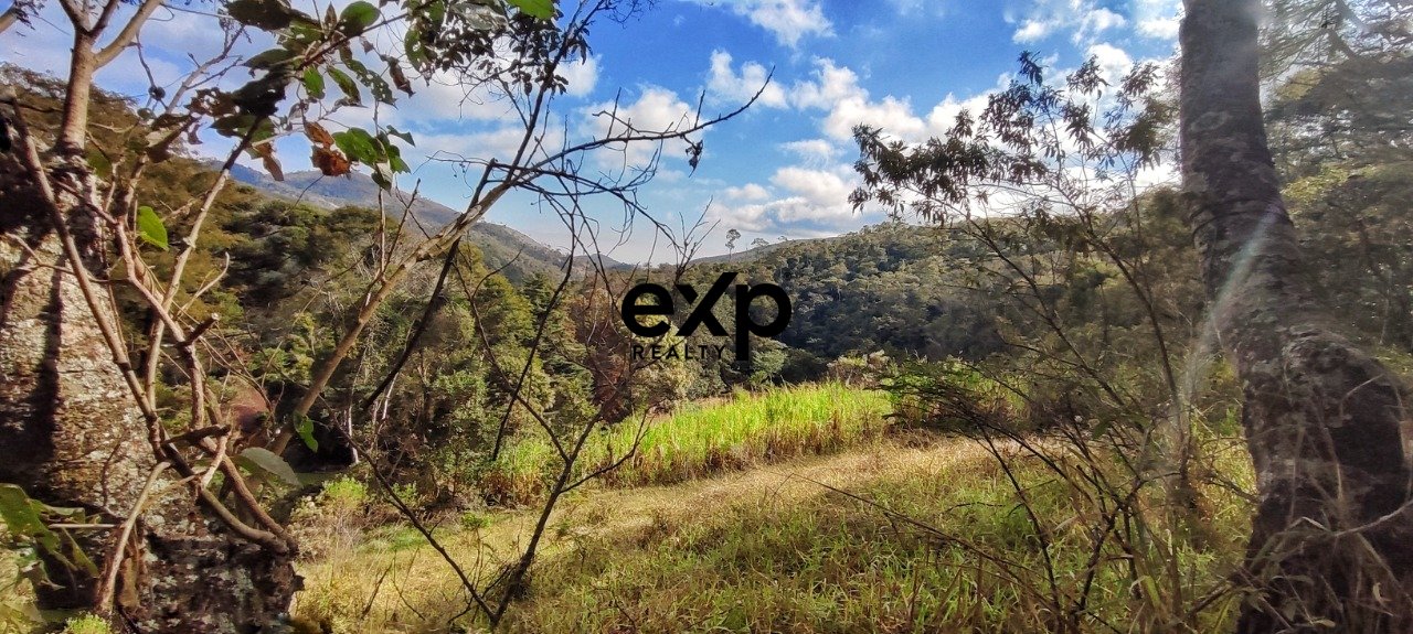 Terreno - Venda - Vale das Videiras - 3.820 m² - Araras - Petrópolis/RJ