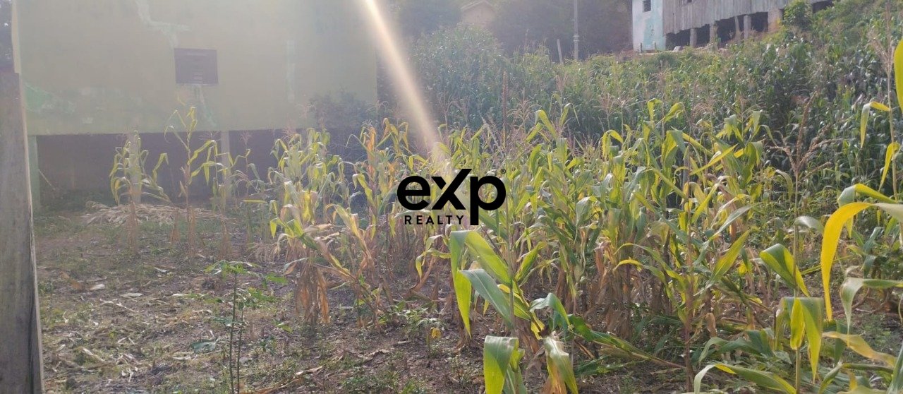 Chácara à venda em Bocaiúva do Sul