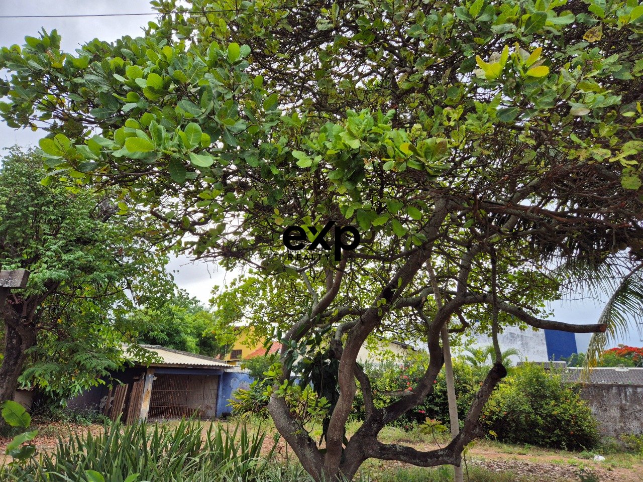 Terreno Plano à Venda em Vilas do Atlântico