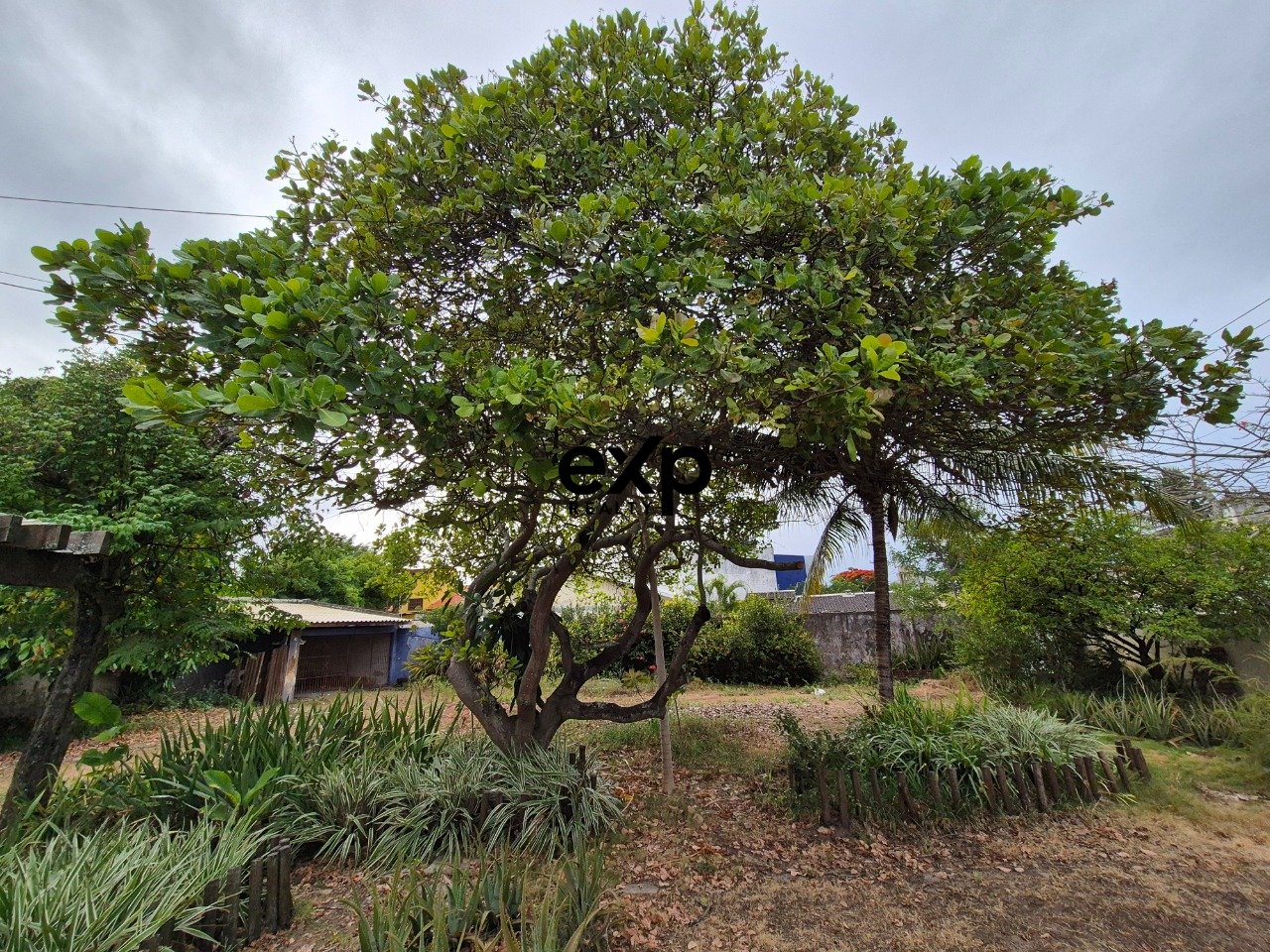 Terreno Plano à Venda em Vilas do Atlântico