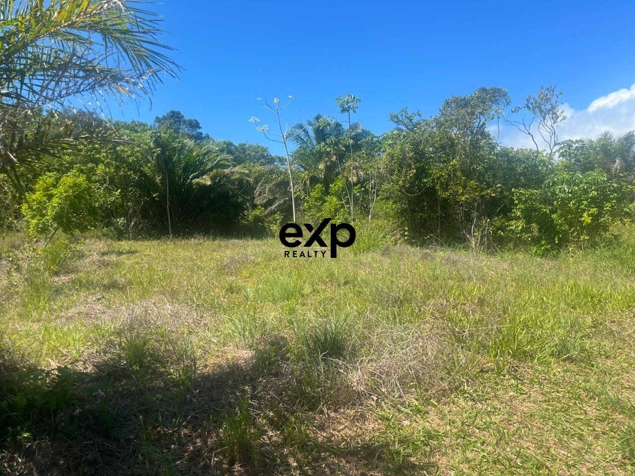 450M² LAND FOR SALE AT PRAIA DO FORTE | AÇU DA TORRE | EXCELLENT INVESTMENT 3