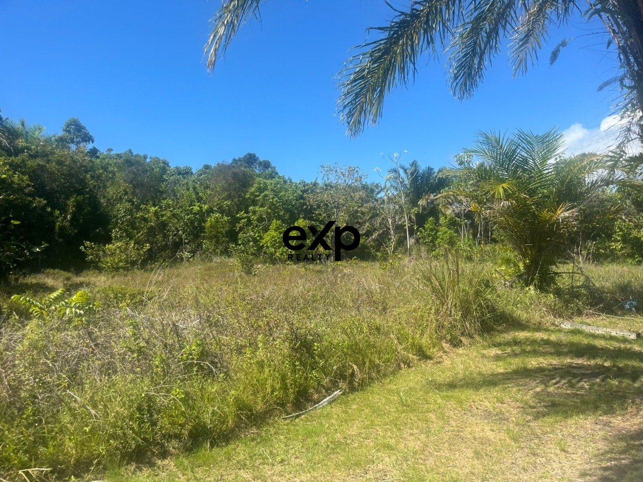 Terreno à venda em Mata de São João, Area de Entroncamento  açu da torre Mata de São João 48288-000, 450 m²