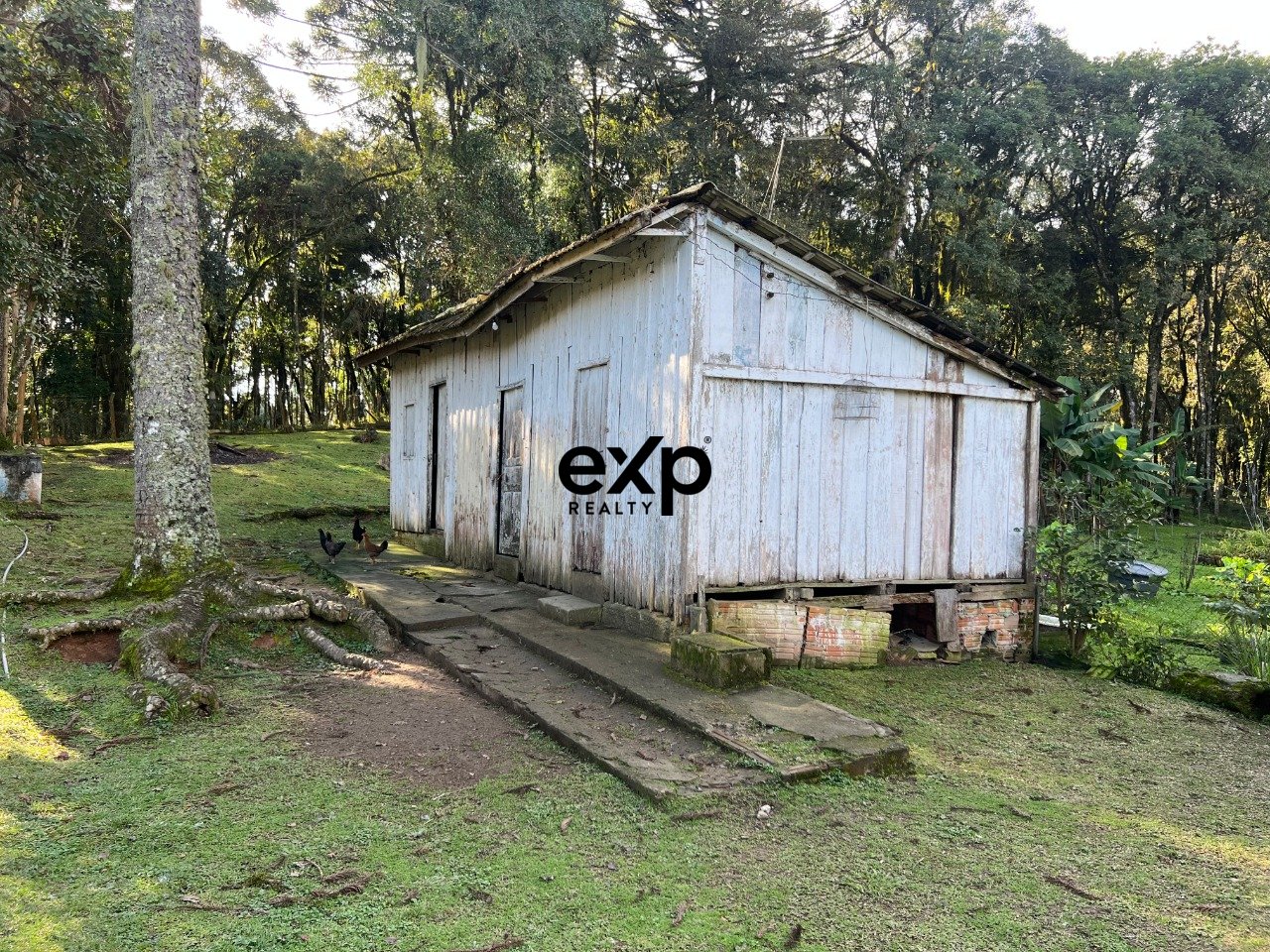 Chácara à venda em Campo Largo, Rua Sebastião Borges Beceloski 236 Itaqui de Cima, Campo Largo Campo Largo 83605-236, 61122 m²