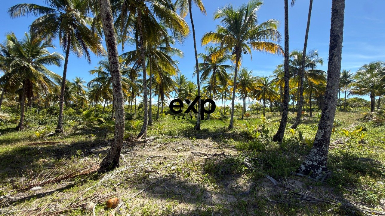 Fazenda à Beira-Mar na Praia de Pratigi - Garapuá 26 Hectares | 100m de Frente para o Mar | Ilha de Tinharé