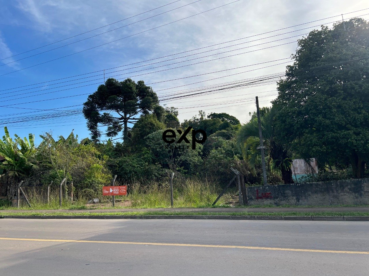 Terreno a venda 6.500,00m2 Barro Preto- Sao Jose dos Pinhais