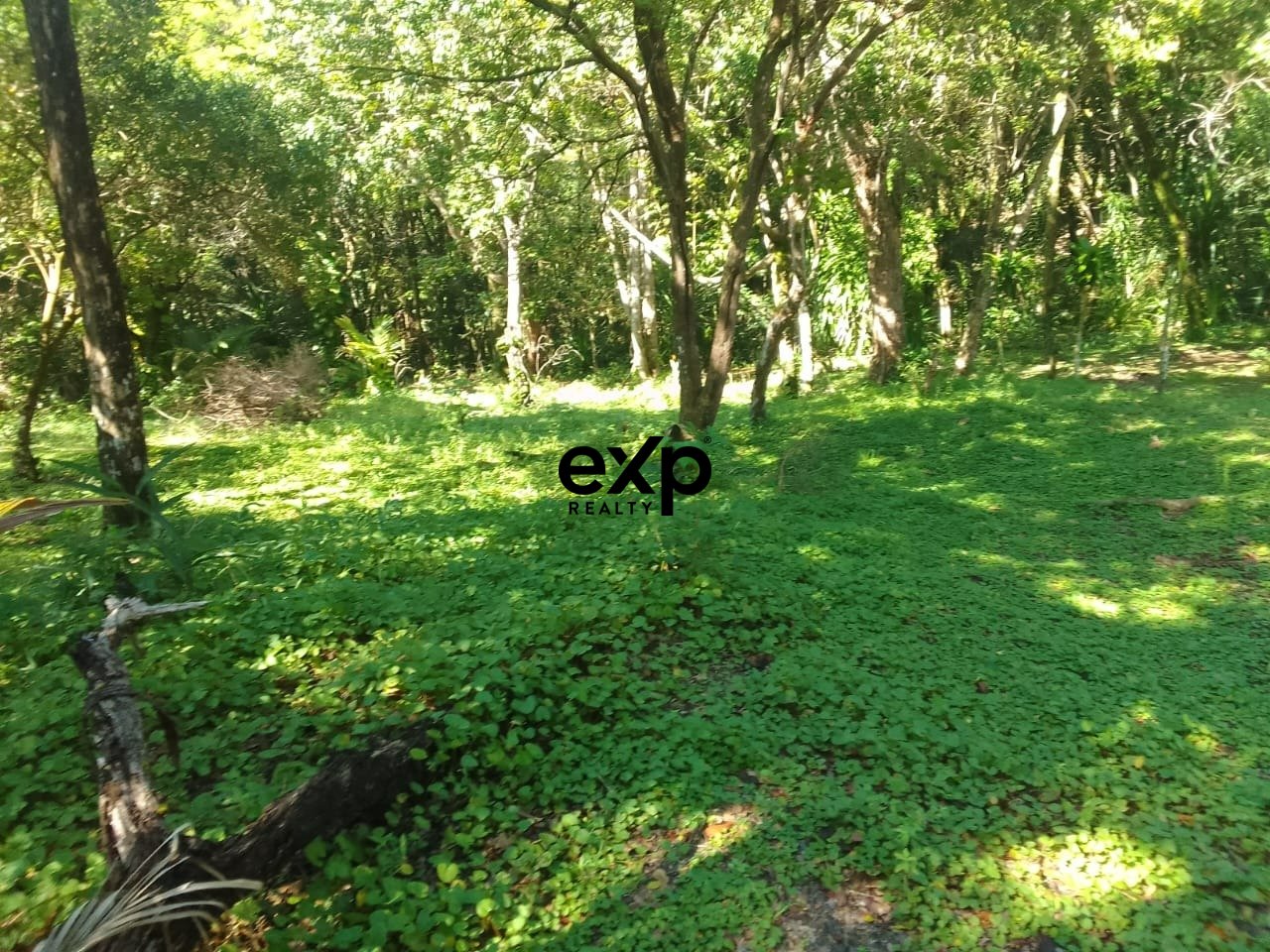 Terreno à venda em Morro de São Paulo BA | 25.000m²