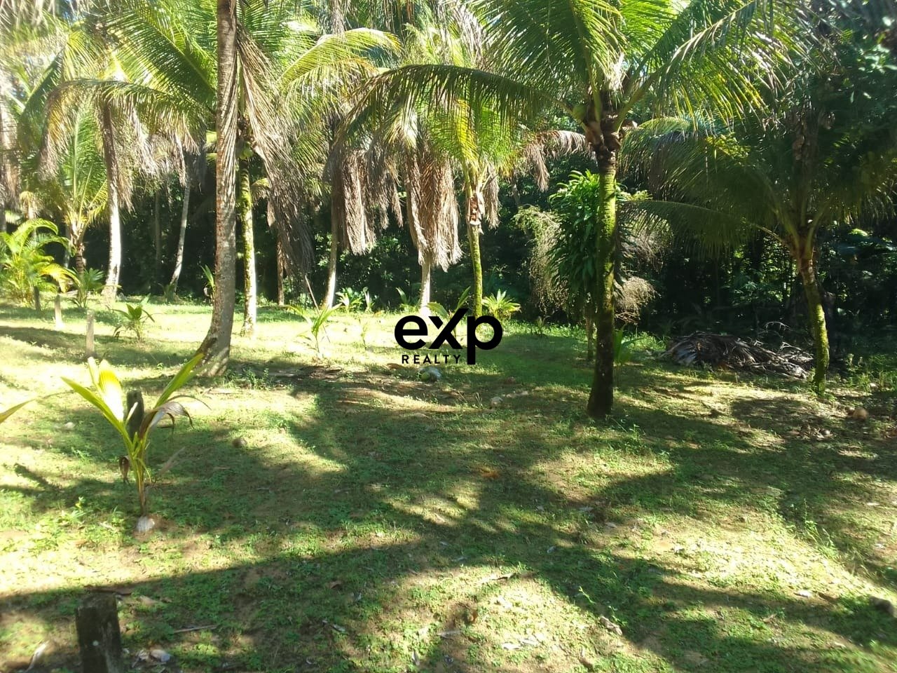Terreno à venda em Morro de São Paulo BA | 25.000m²