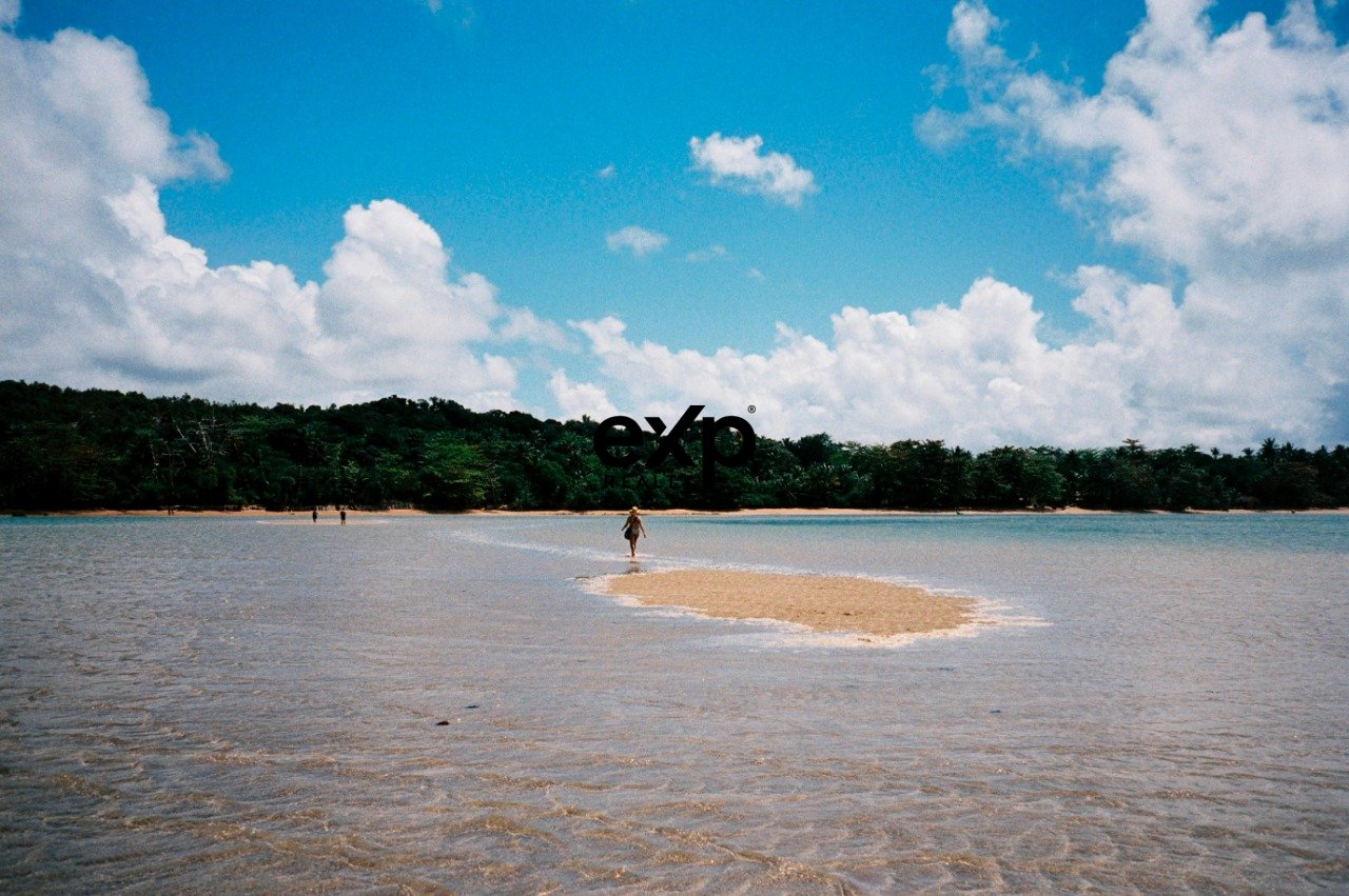Terreno à venda em Boipeba - BA - Proximo a praia de Moreré