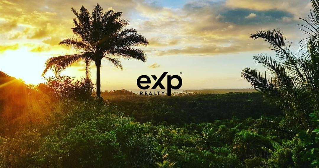 Terreno à venda em Boipeba - BA - Proximo a praia de Moreré