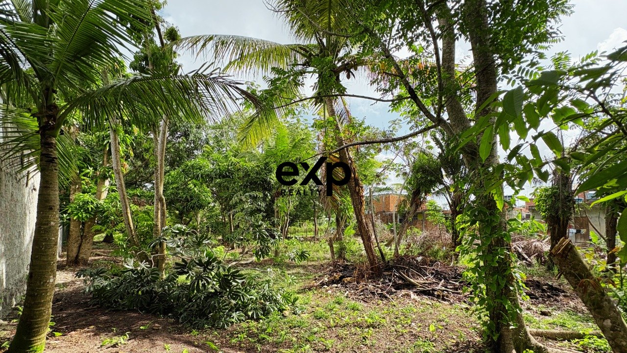 Terreno à venda em Maraú, Rua H, Loteamento Barretas dos Três Coqueiros - Lote 13 - Q-25 - Barra Grande Barra Grande de Maraú Maraú 45528-000, 548 m²