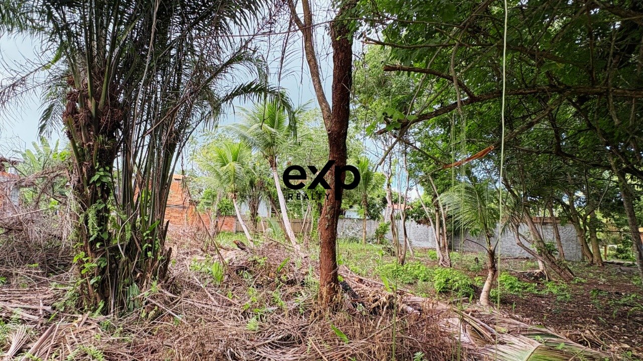 Opportunity in Barra Grande - Maraú Peninsula - Bahia - Lot for Sale 150m from the Beach! 2