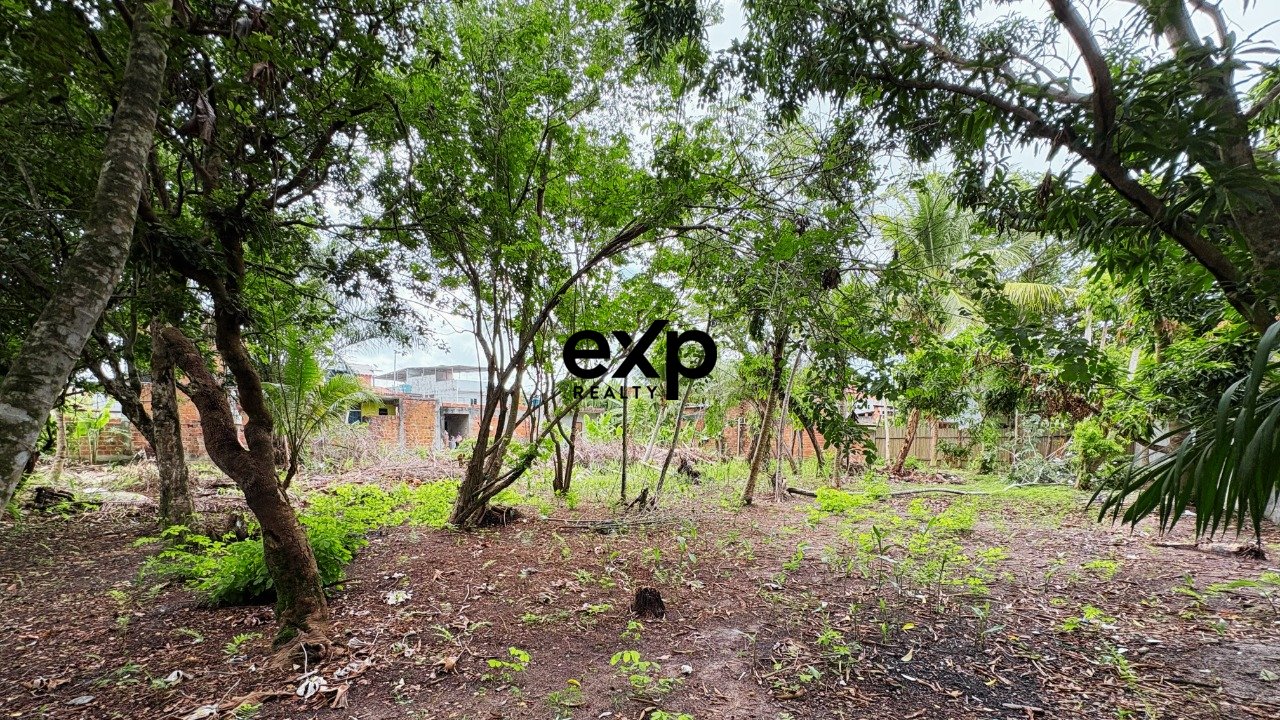 Opportunity in Barra Grande - Maraú Peninsula - Bahia - Lot for Sale 150m from the Beach! 3