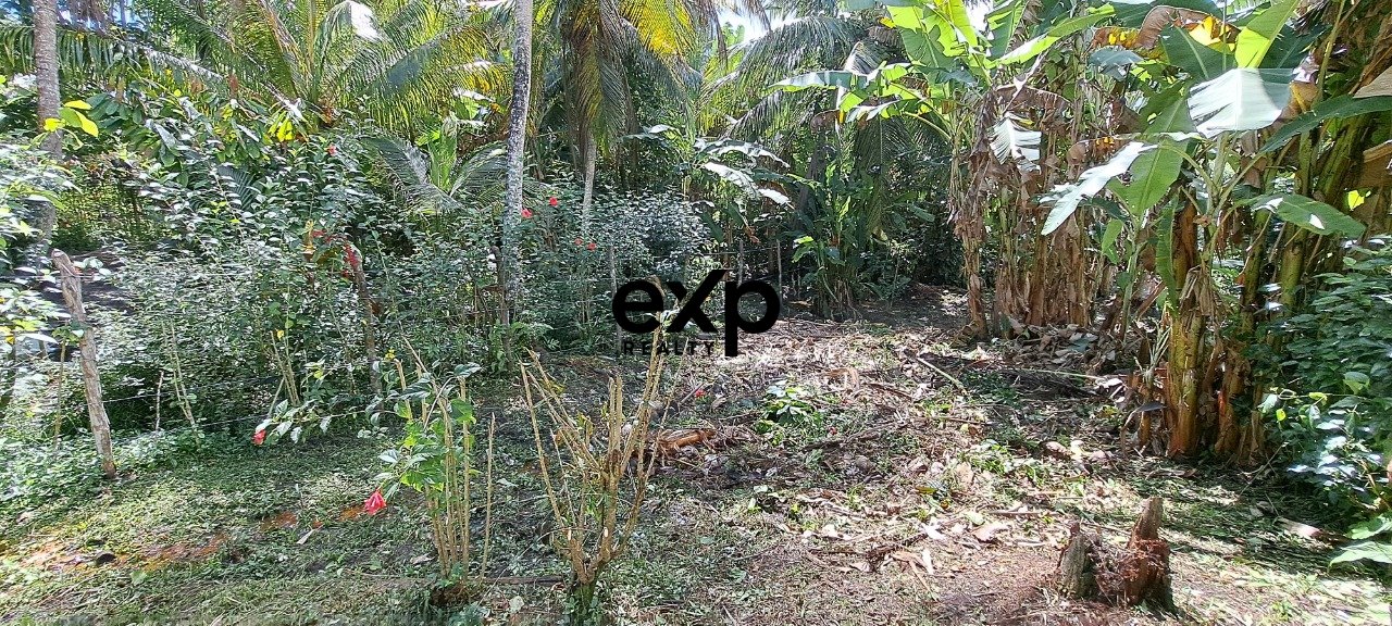 Terreno com 250m² em Rua Residencial - Morro de São Paulo